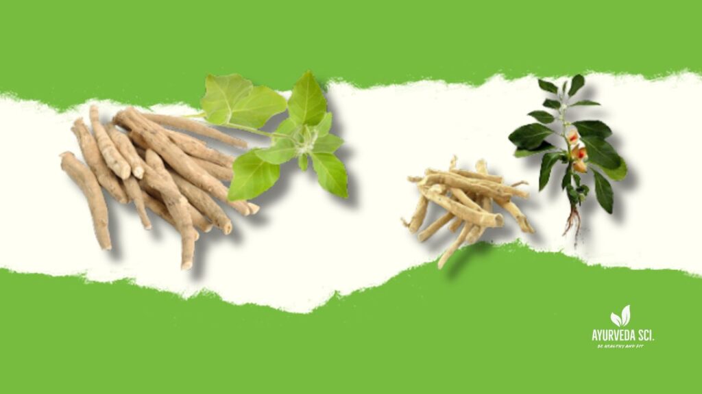 benefits of Ashwagandha