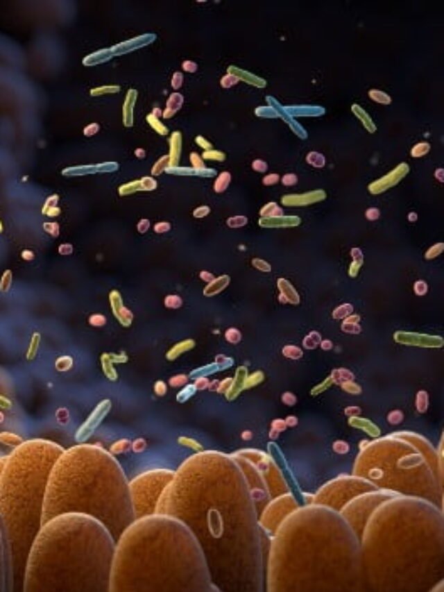 Gut Microbiome