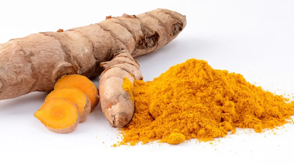 Curcuma Longa (Common Turmeric) Ayurveda sci