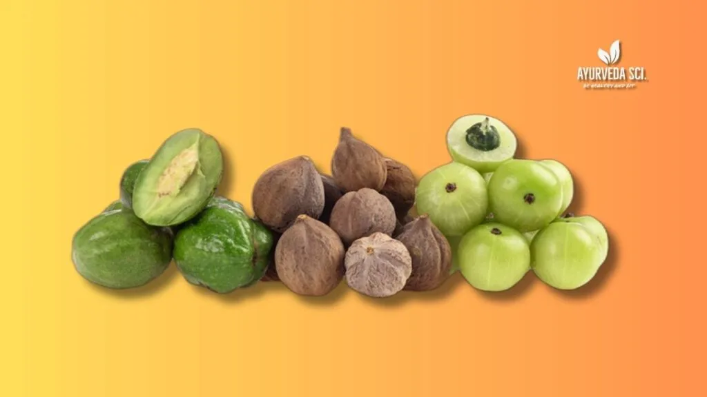 Triphala churn consist of three fruits Amala (Emblica officinalis), also called Indian gooseberry
Bibhitaki (Terminalia bellirica)
Haritaki (Terminalia chebula)