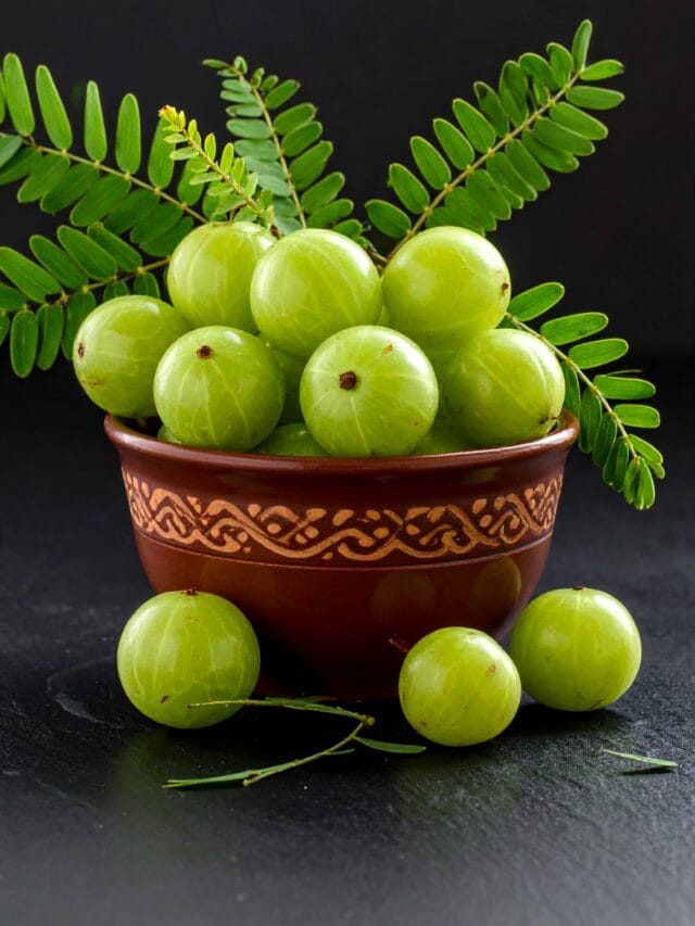 Amla: The Vitamin C Superfruit That Strengthens Immunity.
