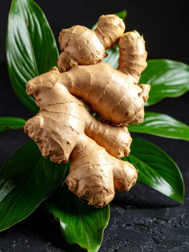 Ginger: The Universal Remedy for Stronger Immunity and Digestion.