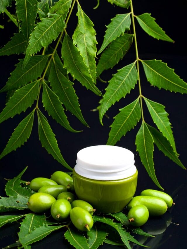 Neem: The Powerful Herbal Defender for Immunity and Detox.