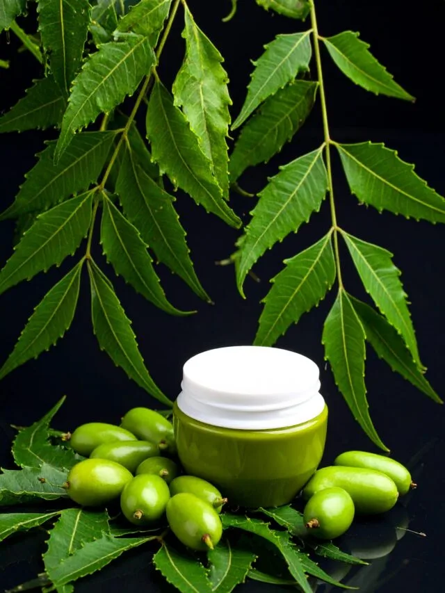 Neem: The Powerful Herbal Defender for Immunity and Detox.