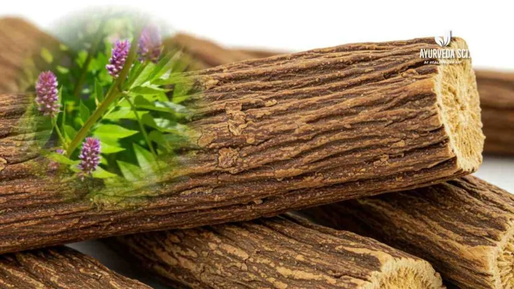 licorice (glycyrrhiza glabra)