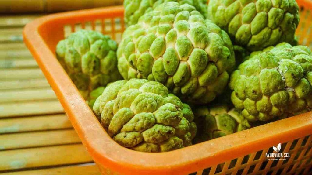 15 Powerful Health Benefits of Sugar Apple (Annona squamosa)