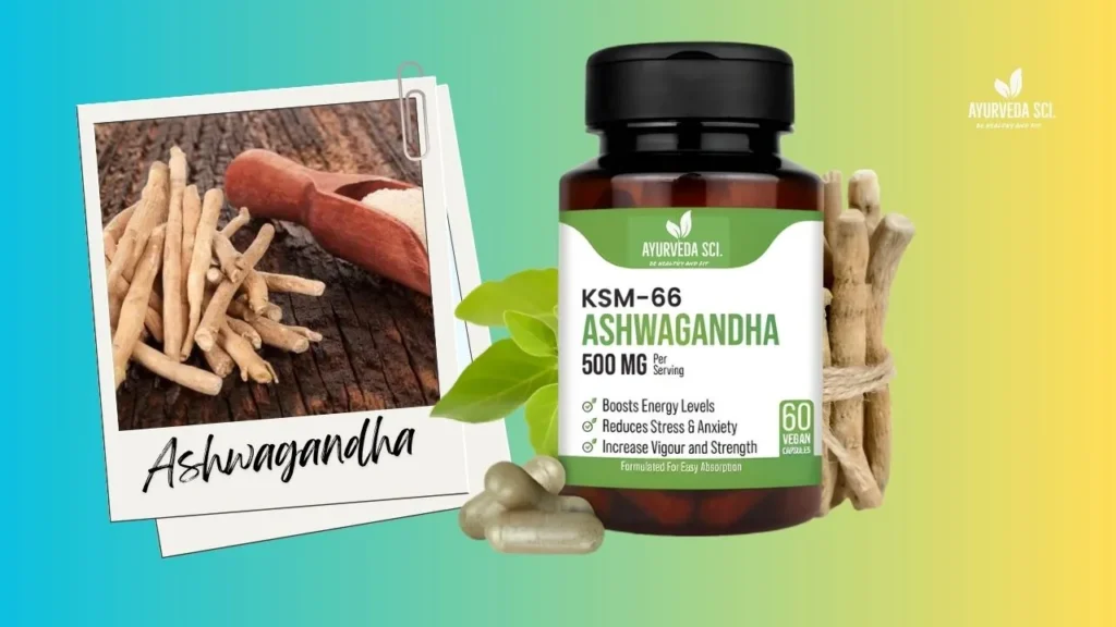 KSM-66 Ashwagandha root powder capsule